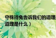 守株待兔告诉我们的道理是什么英文（守株待兔告诉我们的道理是什么）