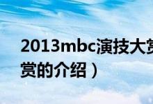 2013mbc演技大赏（关于2013mbc演技大赏的介绍）
