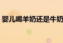 婴儿喝羊奶还是牛奶好(羊奶好还是牛奶好)