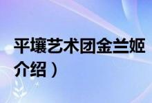 平壤艺术团金兰姬（关于平壤艺术团金兰姬的介绍）