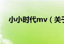 小小时代mv（关于小小时代mv的介绍）