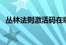 丛林法则激活码在哪里（丛林法则激活码）