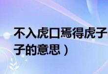 不入虎口焉得虎子的哲学（不入虎口 焉得虎子的意思）