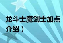 龙斗士魔剑士加点（关于龙斗士魔剑士加点的介绍）