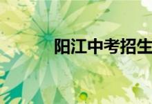 阳江中考招生计划(阳江中考)