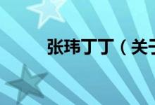 张玮丁丁（关于张玮丁丁的介绍）