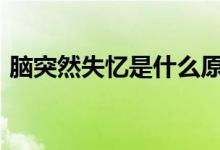 脑突然失忆是什么原因（ntr啥意思 网络用）