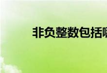 非负整数包括哪些数(非负整数)