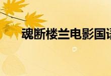 魂断楼兰电影国语版（魂断楼兰电影）