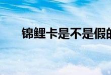 锦鲤卡是不是假的(锦鲤卡是真的吗)
