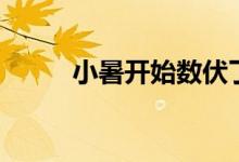 小暑开始数伏了吗（小暑开鹏翼）