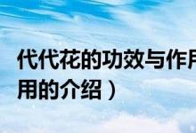 代代花的功效与作用（关于代代花的功效与作用的介绍）