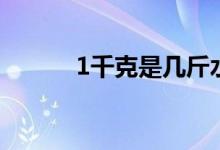 1千克是几斤水（1千克是几斤）
