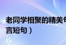 老同学相聚的精美句子有哪些（老同学聚会感言短句）