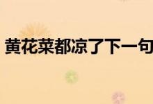 黄花菜都凉了下一句怎么接（黄花菜都凉了）