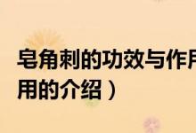 皂角刺的功效与作用(关于皂角刺的功效与作用的介绍)