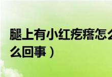 腿上有小红疙瘩怎么办呢（腿上有小红疙瘩怎么回事）