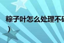 粽子叶怎么处理不破（粽子叶怎么处理才能用）