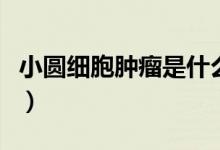 小圆细胞肿瘤是什么意思(小圆细胞什么意思)