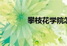 攀枝花学院怎么样（好不好）