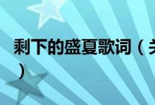 剩下的盛夏歌词(关于剩下的盛夏歌词的介绍)