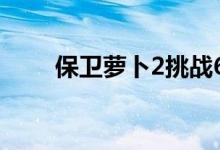 保卫萝卜2挑战60（保卫萝卜2 60）
