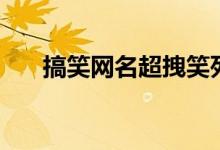 搞笑网名超拽笑死人（搞笑网名超拽）