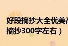 好段摘抄大全优美高中300字（高中精美好段摘抄300字左右）