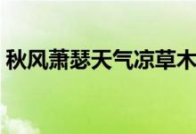 秋风萧瑟天气凉草木摇落露为霜（秋风萧瑟）