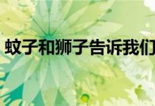 蚊子和狮子告诉我们什么道理（蚊子和狮子）