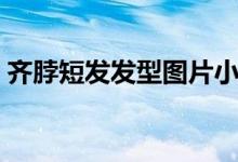 齐脖短发发型图片小卷（齐脖短发发型图片）