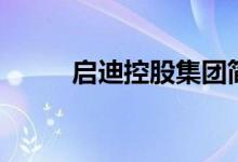 启迪控股集团简介（启迪的意思）
