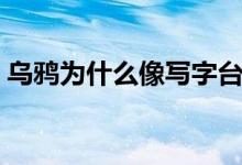 乌鸦为什么像写字台（乌鸦为什么像写字台）