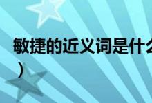 敏捷的近义词是什么呢（敏捷的近义词是什么）