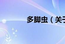多脚虫（关于多脚虫的介绍）