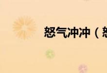 怒气冲冲（怒气冲冲的意思）