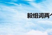 毅组词两个字（毅组词）