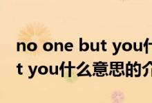 no one but you什么意思（关于no one but you什么意思的介绍）