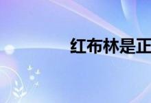 红布林是正品吗（红布林）