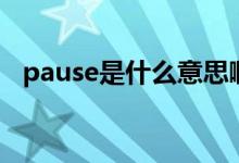 pause是什么意思啊（pause是什么意思）