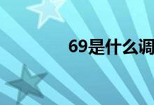 69是什么调（69什么意思）