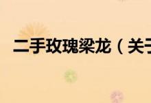 二手玫瑰梁龙（关于二手玫瑰梁龙的介绍）