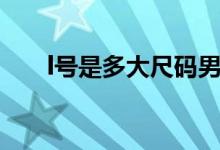 l号是多大尺码男士（l号是多大尺码）