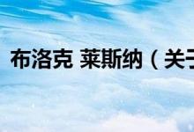 布洛克 莱斯纳(关于布洛克 莱斯纳的介绍)