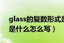 glass的复数形式是什么（glass的复数形式是什么怎么写）