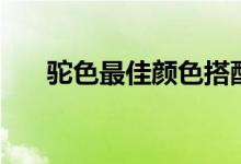 驼色最佳颜色搭配(驼色是什么颜色)