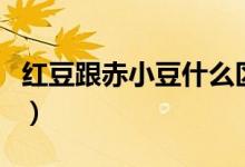 红豆跟赤小豆什么区别（红豆与赤小豆的区别）