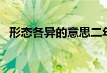 形态各异的意思二年级（形态各异的意思）