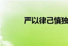 严以律己慎独慎微(严以律己)
