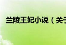 兰陵王妃小说(关于兰陵王妃小说的介绍)